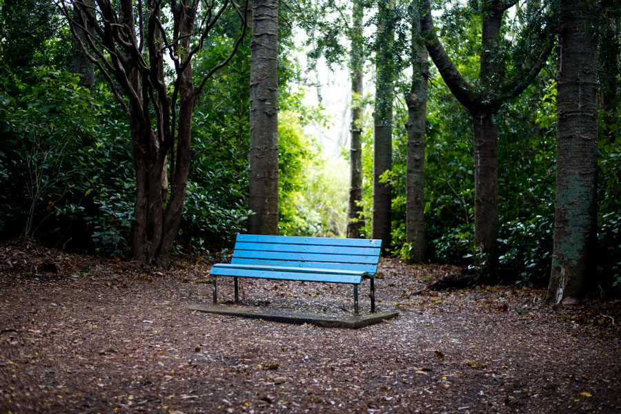 bluechair-900px-50mm 1/40 sec, F1.8 ISO 100 bluechair-900px-50mm 1/40 sec, F1.8 ISO 100