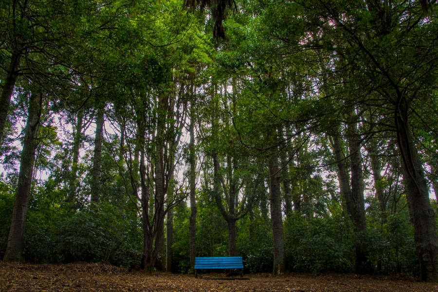 blue-chair-900HDR blue-chair-900HDR