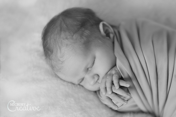 Newborn Photography