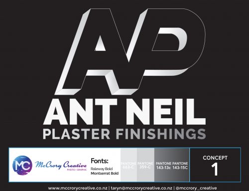 Ant Neil Plaster Finishings Logo Design